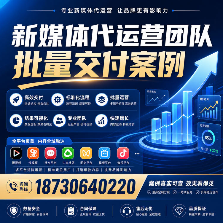 临高代运营公司多客户账号批量高效交付案例