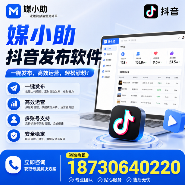 临高媒小助抖音快手批量发布软件